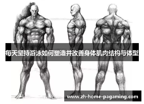 每天坚持游泳如何塑造并改善身体肌肉结构与体型