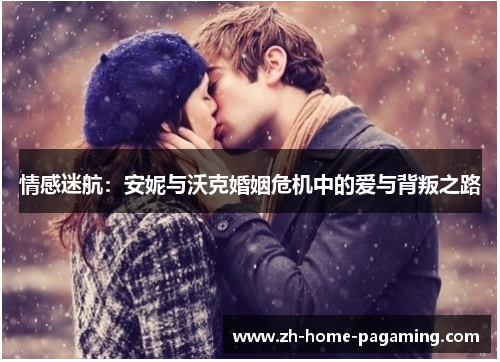 情感迷航：安妮与沃克婚姻危机中的爱与背叛之路