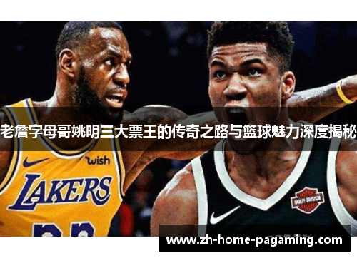 老詹字母哥姚明三大票王的传奇之路与篮球魅力深度揭秘