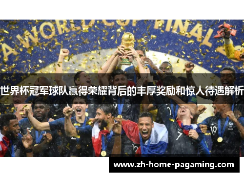 世界杯冠军球队赢得荣耀背后的丰厚奖励和惊人待遇解析