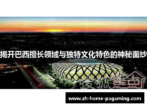 揭开巴西擅长领域与独特文化特色的神秘面纱 揭开巴西擅长领域与独特文化特色的神秘面纱