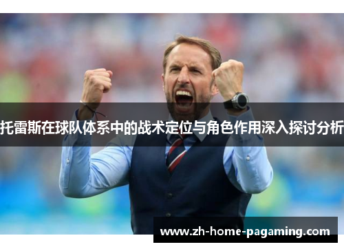 托雷斯在球队体系中的战术定位与角色作用深入探讨分析 托雷斯在球队体系中的战术定位与角色作用深入探讨分析