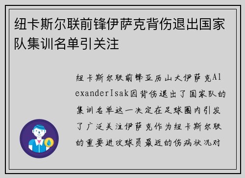 纽卡斯尔联前锋伊萨克背伤退出国家队集训名单引关注